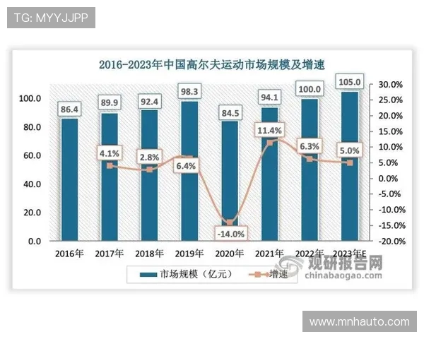 武汉排球队个人能力深度解析与发展策略探讨 武汉排球队个人能力深度解析与发展策略探讨