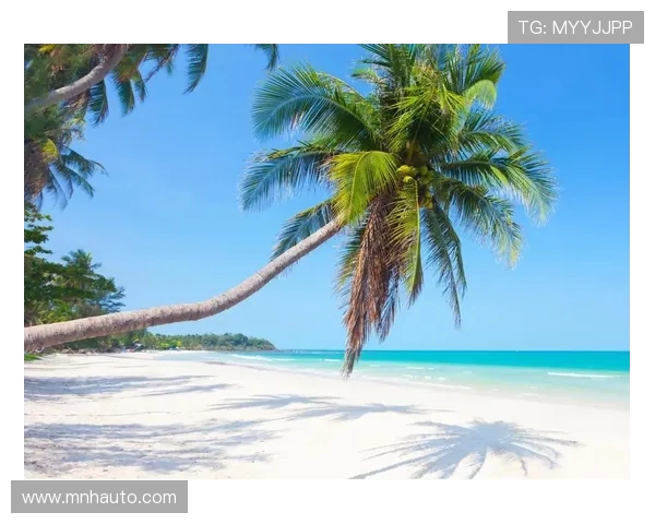 探索阿拉巴的历史文化与自然风光之美，感受独特的地域魅力与人文气息