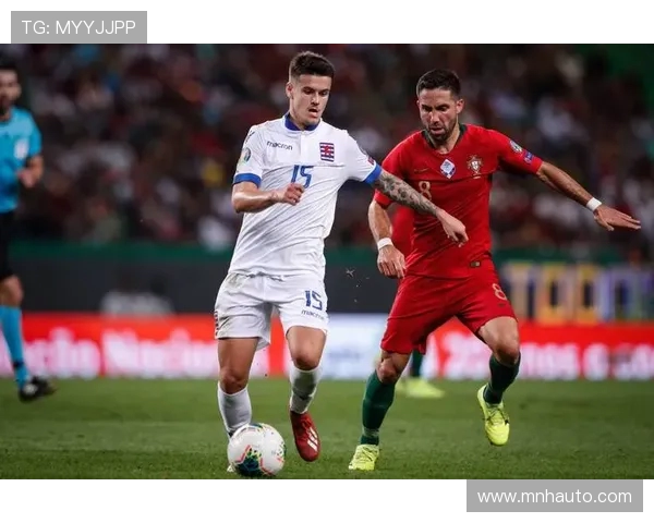 瑞士与爱尔兰激战欧洲杯小组赛精彩回顾与分析