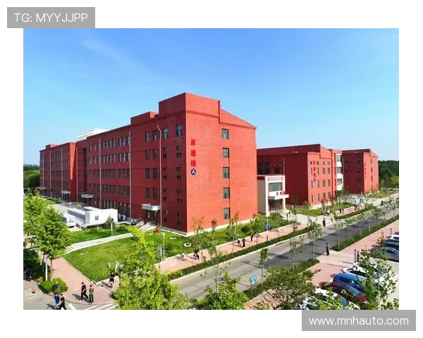 南京飞盘队的控制革新之路：从传统到现代的全面转型与突破