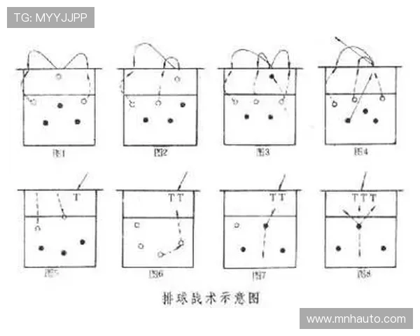 深入分析上海排球队控制打法的战术特点与实践应用