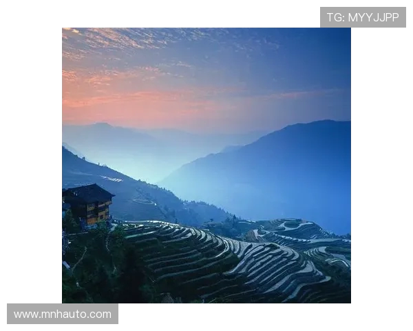 飞盘技术实力榜单权威发布揭示顶尖选手与团队实力对比分析