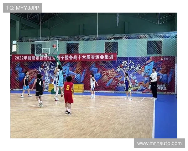 上海排球队比赛经验分析与表现评估的深度研究与探讨