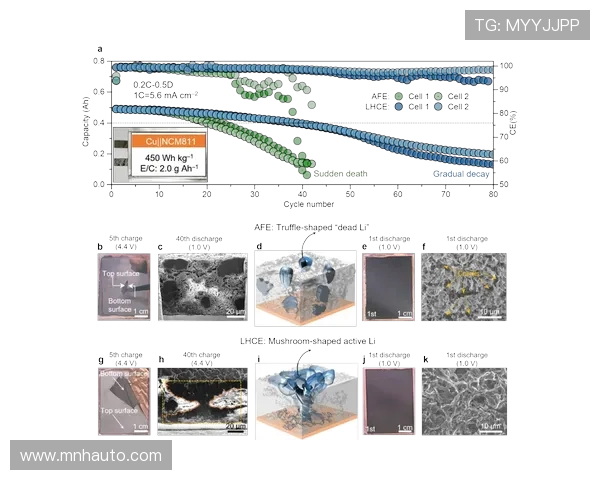 全球挑战赛分析:WE战队团队协作与配合能力的深度剖析