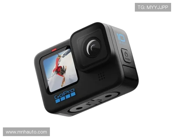 成都极限运动队防守策略解析与热点动态探讨