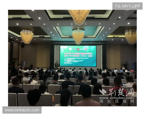 武汉攀岩队的防守策略解析与攀岩热点动态探讨